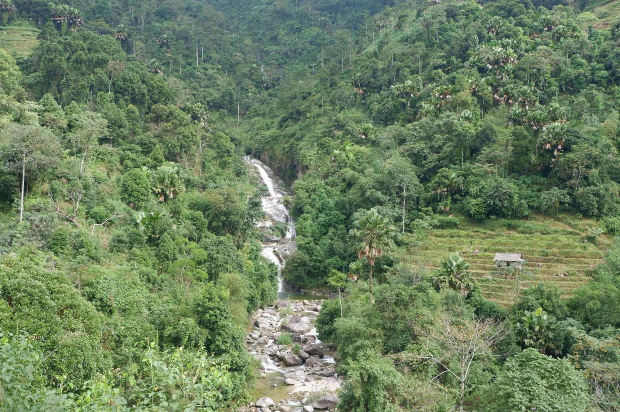 Bikki'S Jungle Homestay Ha Giang Exterior photo