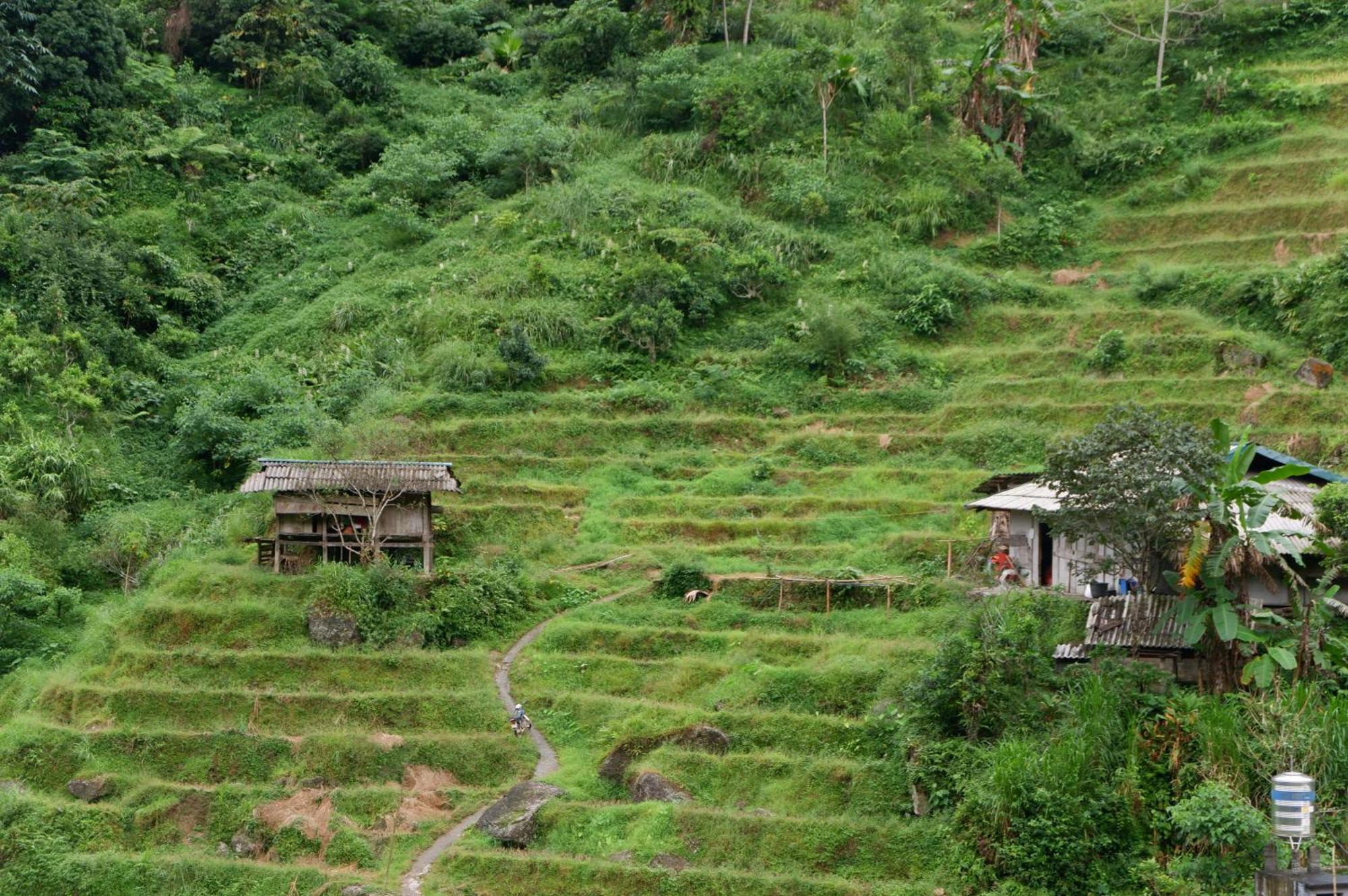 Bikki'S Jungle Homestay Ha Giang Exterior photo