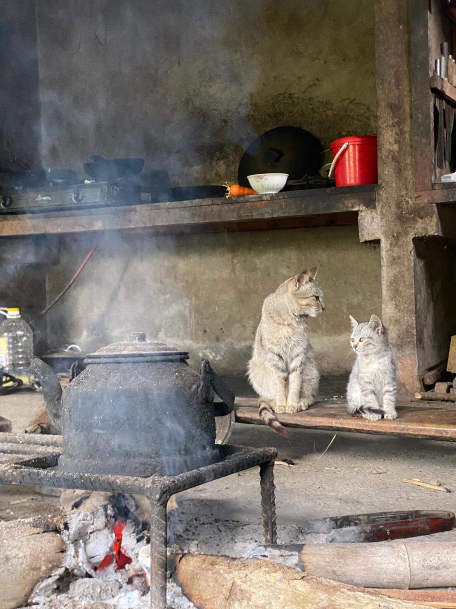 Bikki'S Jungle Homestay Ha Giang Exterior photo